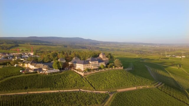 Luftaufnahme mit Drohne im Rheingau bei den Weinbergen von Schloss Johannisberg zwischen Eltville und R&uuml;desheim am Rhein, Hessen Deutschland	