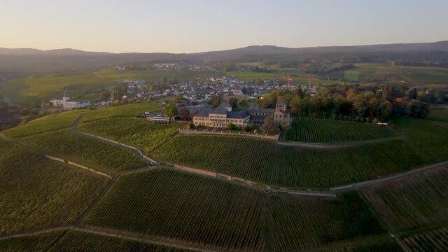 Luftaufnahme mit Drohne im Rheingau bei den Weinbergen von Schloss Johannisberg zwischen Eltville und R&uuml;desheim am Rhein, Hessen Deutschland	