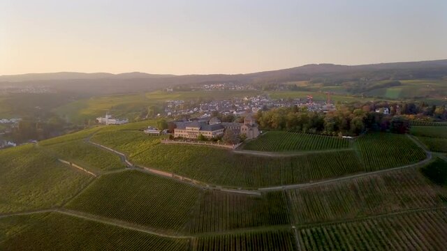 Luftaufnahme mit Drohne im Rheingau bei den Weinbergen von Schloss Johannisberg zwischen Eltville und R&uuml;desheim am Rhein, Hessen Deutschland	