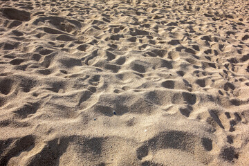 footprints in the sand