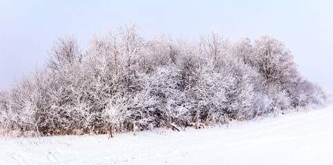 Sunday winter morning in a village in the countryside of Ukraine