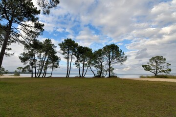 beautiful view on the lake of Cazaux in Gironde - France