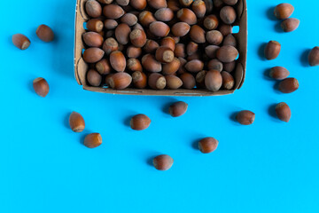 Box with hazelnuts over stone table, blue background flatlay