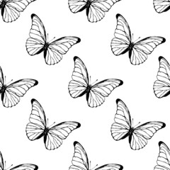 Butterfly seamless pattern. Blue butterfly