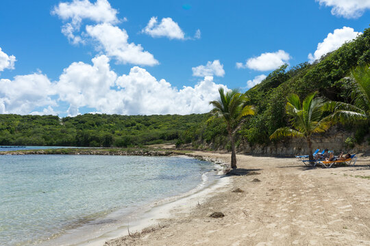 Dreamy beach in the Caribbean
