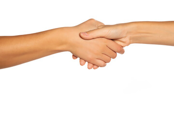 Two female hands in handshake pose, isolated on white background.