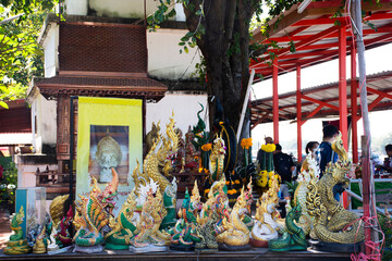 Mysterious naga worship shrine for thai people and foreign travelers travel visit and respect praying blessing with holy worship mystery at Wat Song Kusol temple in Phra Nakhon Si Ayutthaya, Thailand