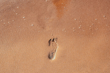 Footprint of bare feet on wet sand. Summer vacation on the beach. Walk along the sea shore
