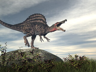 Spinosaurus dinosaur roaring on a rock - 3D render