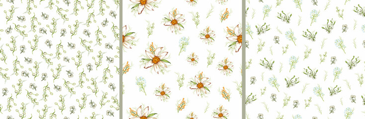 set of seamless pattern with spring herb, flower close-up. primrose narcissus in the style of realism (drawing). modern sketch, design template, wallpaper, paper, print, banner.  art illustration