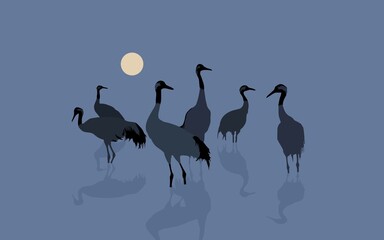 Bird and Nature Series Number One