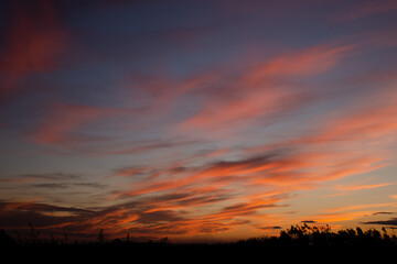 Beautiful colored clouds in the rays of the setting sun. Calm summer nature