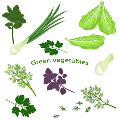 Green vegetables isolated on white background. Fresh basil, green onion, dill, lettuce leaf, green parsley. Vector illustration of leaf vegetables. - 477144782