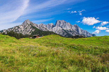 Blick auf die Litzlalm mit Hütte in Österreich