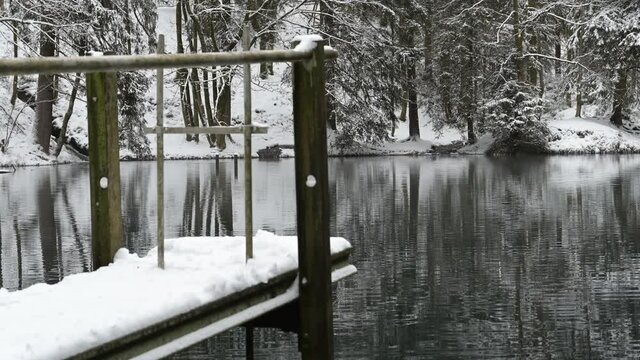 Th&uuml;ringer Wald: Pfanntalsteich bei Oberhof im Winter