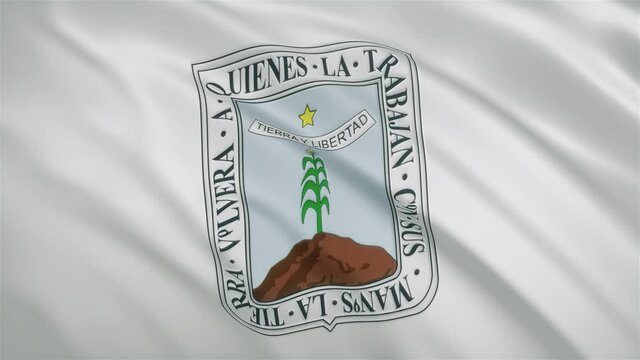 Morelos - Mexican State Waving Flag