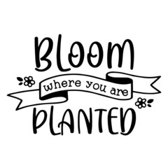 bloom where you are planted background inspirational quotes typography lettering design
