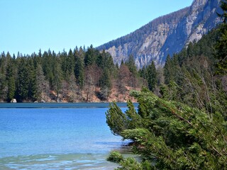  Italy, Trentino Alto Adige: View of Tovel Lake.