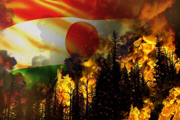 Big forest fire fight concept, natural disaster - burning fire in the trees on Niger flag background - 3D illustration of nature