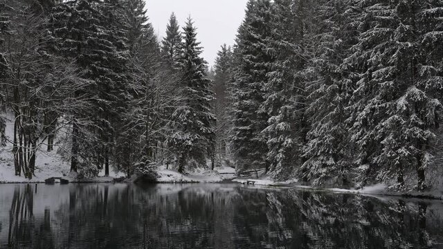 Th&uuml;ringer Wald: Pfanntalsteich bei Oberhof im Winter