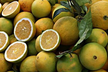 Italy, Sicily Island: Citrus fruits at the market.