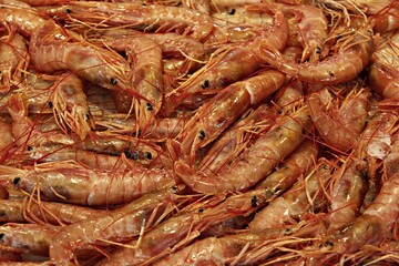 Italy, Sicily Island: Fish for sale at the market.