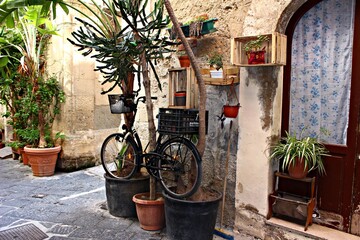 Fototapeta na wymiar Italy, Sicily: Bicycle parked between two plants.