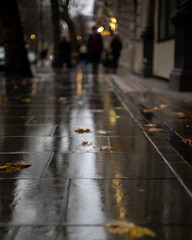 Walking in the rain