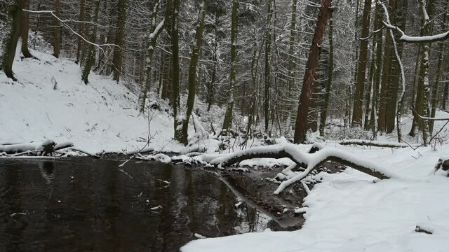 Th&uuml;ringer Wald: Pfanntalsteich bei Oberhof im Winter