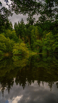 Tollymore Lake