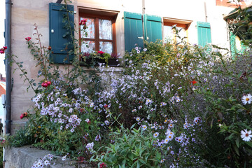 Garten, Blumen, Fr&uuml;hling, Vorgarten, Bl&uuml;ten