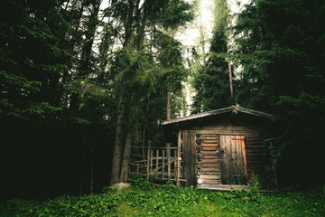 Old cabin in the woods
