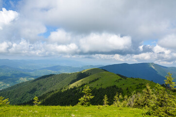 Naklejka premium Mountain ridge with green grassy slopes and tops on the distance under cloudy sky. Carpathians, Ukraine. Travel and tourism