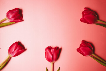 festive background with beautiful tulips
