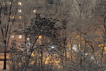 Snow-covered trees in front of a residential building in a poor area at night