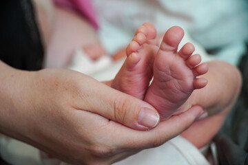 Legs with fingers are a newborn baby. Mother holds in the palm of her hand. High quality photo close up view macro closeup