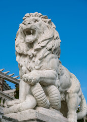 Roaring lion statue in white marble against clear blue sky, Budapest