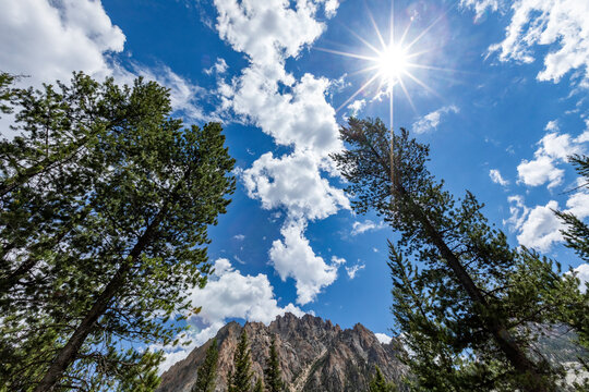 USA, Idaho, Stanley, Sunny Sky Over Trees And Sawtooth Mountains