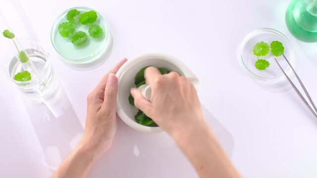 Topview of mashing centella in mortar and pestle with white background 