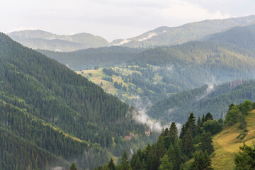 Fototapeta premium Fog in the forest at Bulgaria.