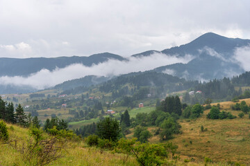Fototapeta premium Fog in the forest at Bulgaria.