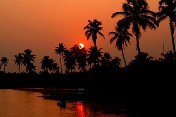 coconut trees on sunset