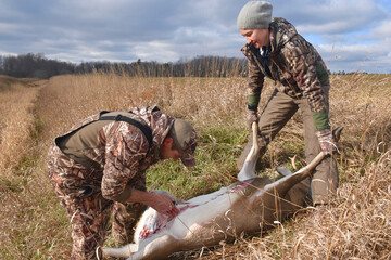 Hunters work to field dress a deer 