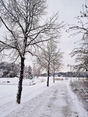 snow covered road