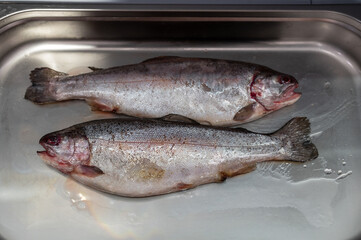 Fresh raw pink salmon fish in the supermarket