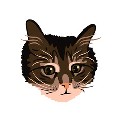 Melancholy cat. Vector sticker