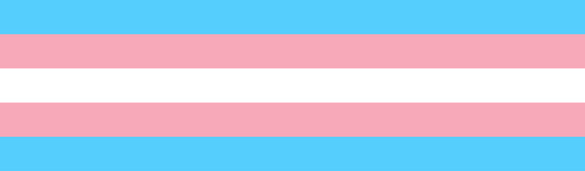 Transgender Pride Flag. Symbol of the transgender community - obrazy, fototapety, plakaty