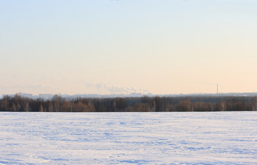 View of the smoking chimneys in the city behind the forest on a sunny winter day