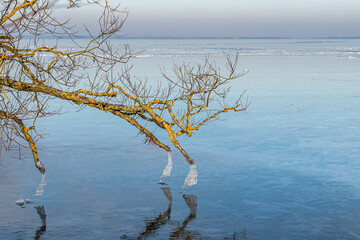 Winter am Stettiner Haff