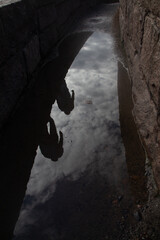 silhouette of a person in the rain
